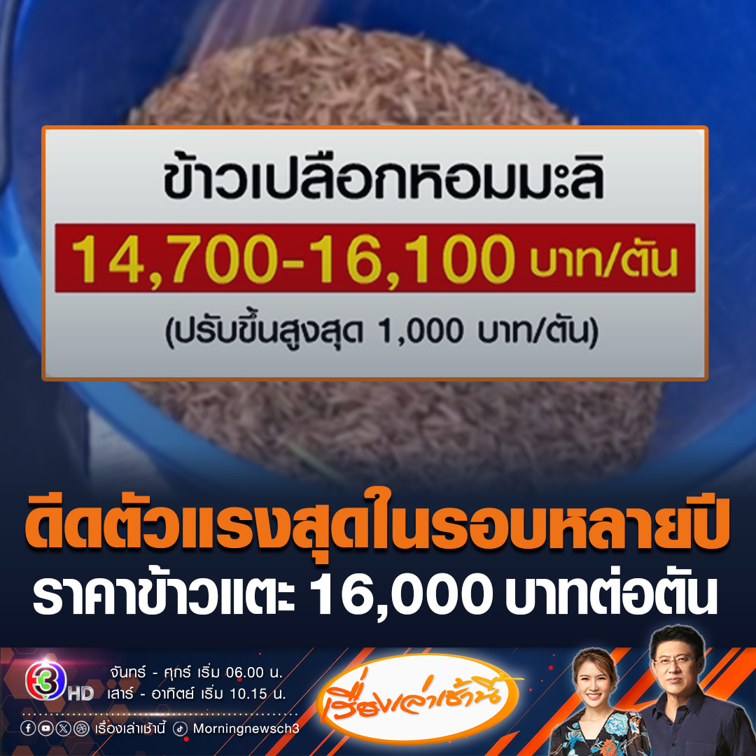 #เรื่องเล่าเช้านี้ ชาวนาเตรียมเฮ ราคาข้าวเปลือกหอมมะลิพุ่งแรง แตะระดับสูงสุดถึง 16,000 บาทต่อตัน อธิบดีกรมการค้าภายในเผย เป็นการปรับตัวขึ้นที่เร็วที่สุดในรอบหลายปี ชี้ "ตลาดนัดข้าวเปลือก" ดันราคาพุ่งสูง #ข่าวช่อง3 #ข่าวเศรษฐกิจ #ราคาข้าว