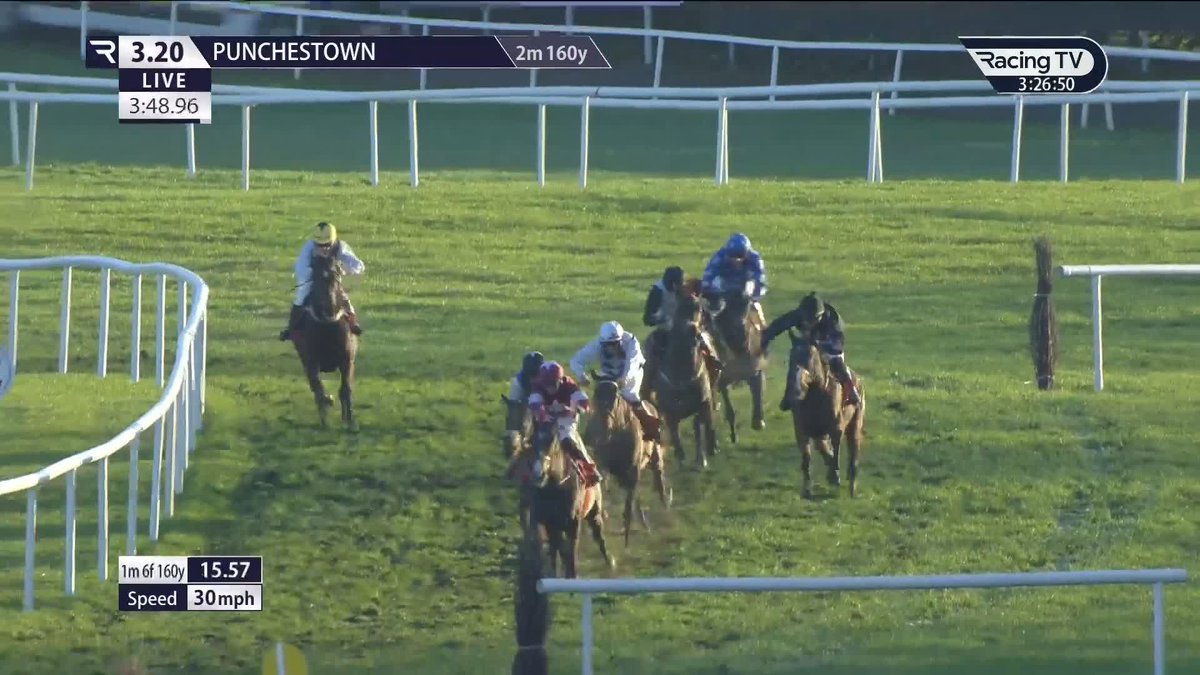 𝐁𝐚𝐥𝐥𝐲𝐟𝐚𝐝𝐝𝐝𝐝𝐝𝐝𝐝𝐝𝐝𝐝! Gordon Elliott secures an across-the-card five-timer in the bumper Punchestown - and, boy, what a performance when it looked all over for the four-year-old ..