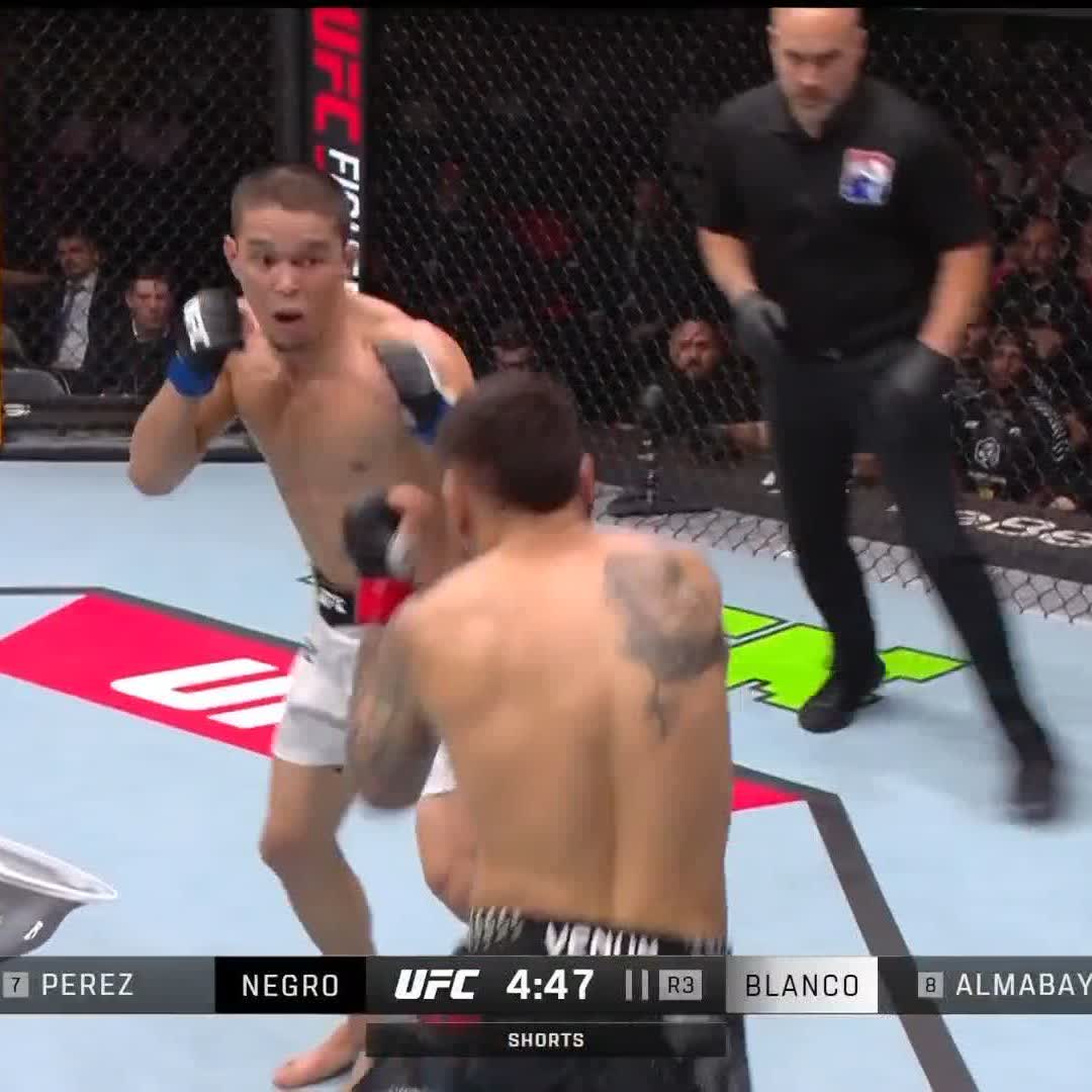 Muy buenos preliminares están quedando.