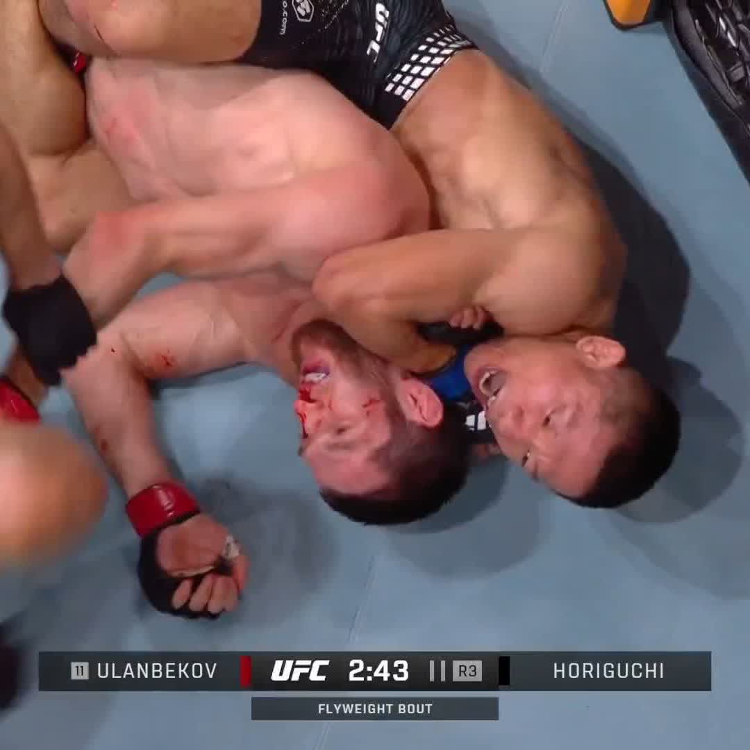 堀口恭司が11位 タギル・ウランベコフに3R一本勝ち！ #UFCQatar