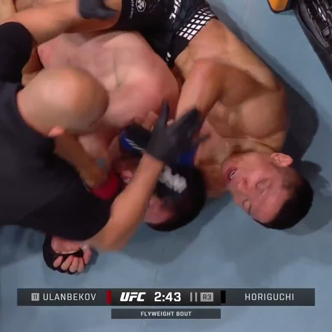 الياباني المخضرم يرسل طاهر للنوم.. #UFCQatar