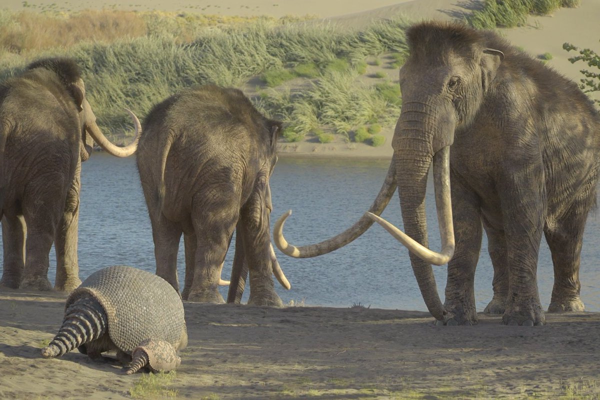 Go big or roll home. #PrehistoricPlanetIceAge — Streaming November 26