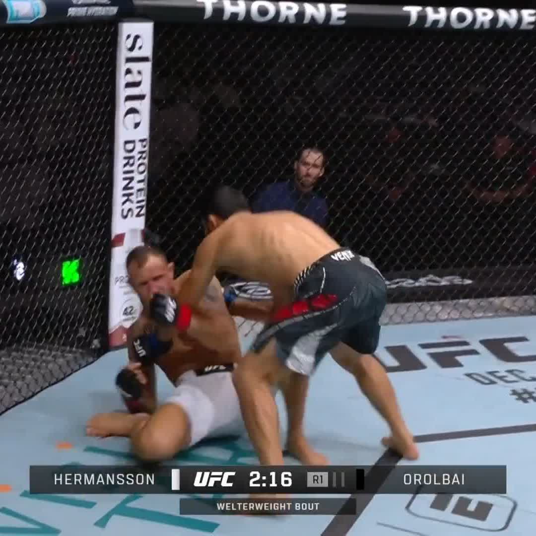 OROLBAI SLEEPS JACK HERMANSSON #UFCQatar