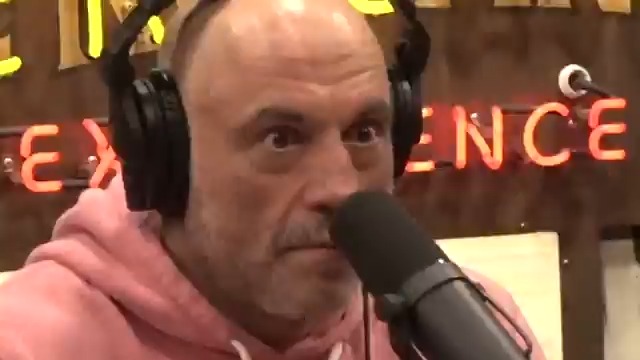 The guests weren't ready for the Rogan rizz attack Joe Rogan