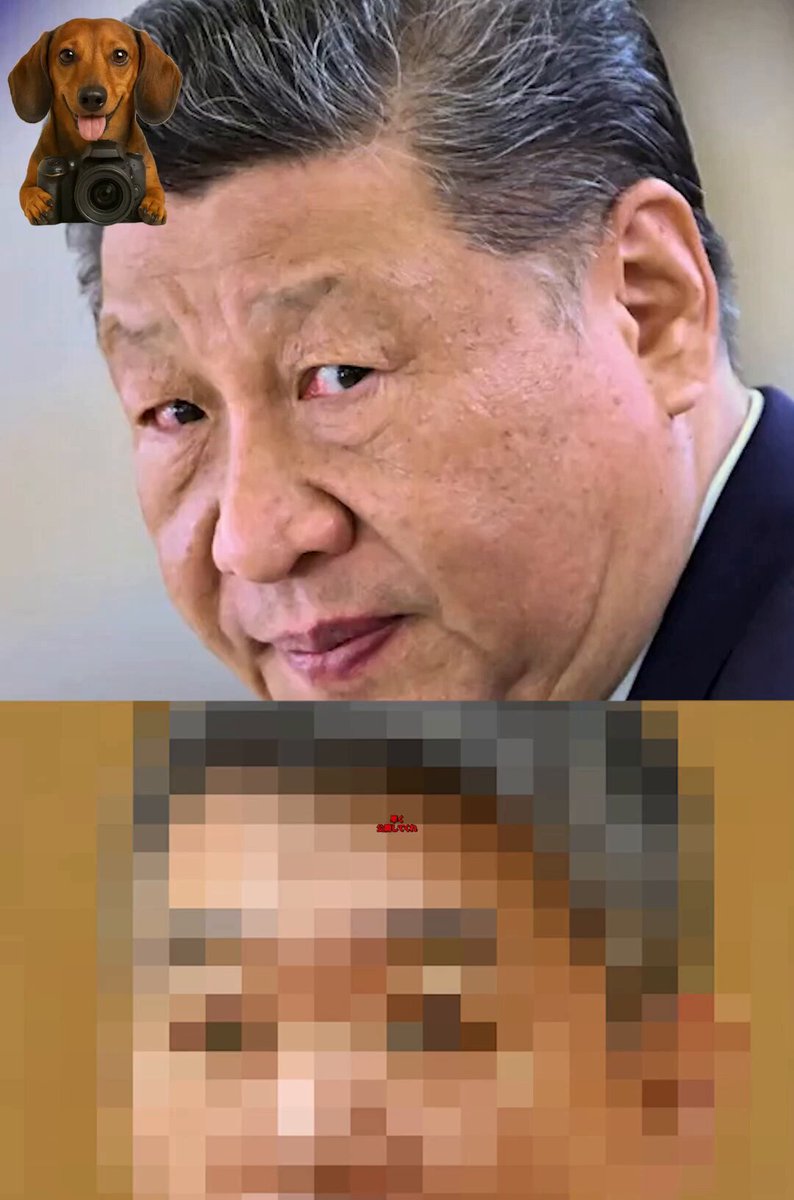 効いてる効いてる🤣ｗこんな脅し初めてだからあいつら相当致命傷なんだろうなｗ 裏金議員の次はハニトラ議員。 こっちのほうが気になるので待ち切れないから早く情報開示を😇！ 【中国さん、ハニトラ議員全部バラすも逆効果w】 ダックスクープネットの反応