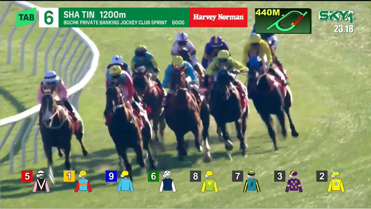 【🇭🇰香G2 ジョッキークラブスプリント】 現役世界最強スプリンター、カーインライジング(セ5)が豪州からの帰国初戦も圧勝。連勝を15に伸ばしました。強すぎて言葉もございません。 🎥 SKY Racing