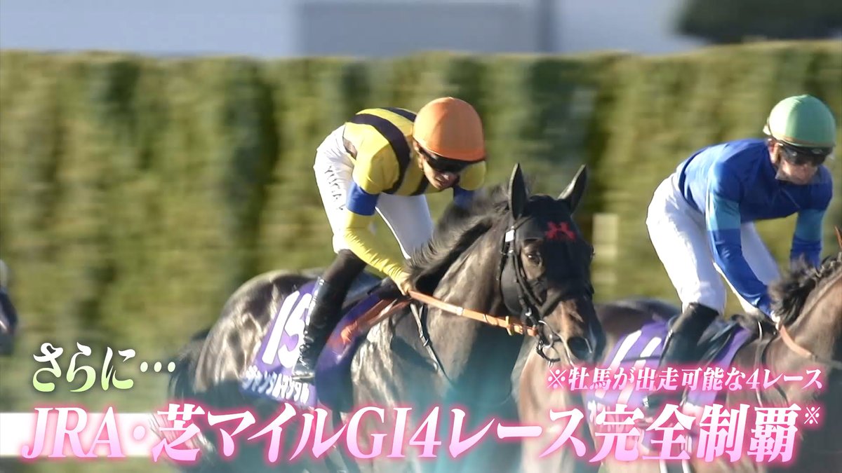 #ジャンタルマンタル が #マイルチャンピオンシップ を圧巻の走りで優勝🐎 #川田将雅 騎手はこのレース初制覇です🏆✨ 2023年 #ナミュール 以来、 #高野友和 調教師はマイルチャンピオンシップ2勝目となります🎉