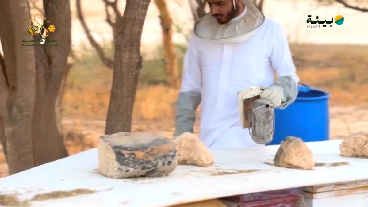 في أجواء مهرجان عسل حريملاء التقينا بالنحال ناصر الجماز تحدث عن طبيعة حريملاء وتميّز منتجات عسلها.