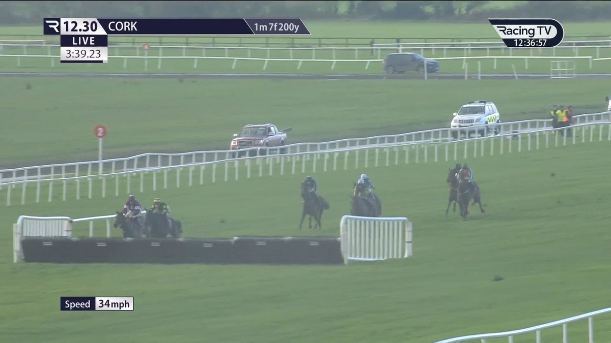 Sortudo 👀 High-class in bumpers and seventh in the Champion Bumper at Cheltenham, the Authorized gelding makes a very decent start over flights for Willie and Danny Mullins Cork Racecourse | Danny Mullins