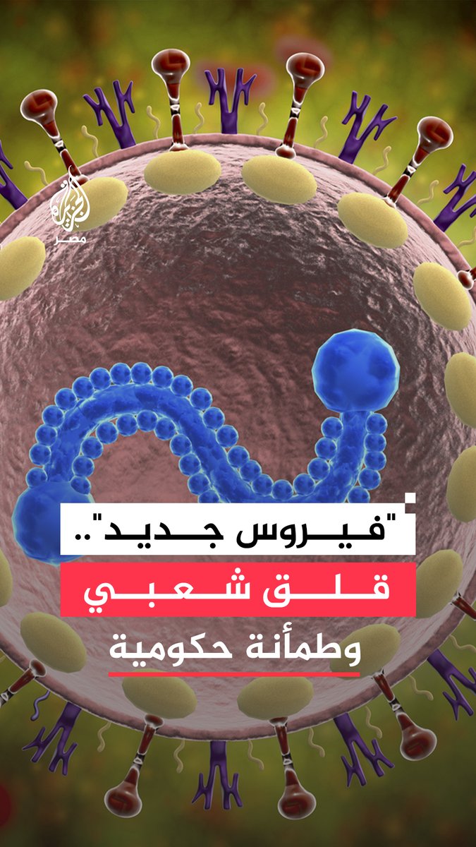 قلق متصاعد على منصات التواصل في #مصر مع حديث واسع عن انتشار فيروس تنفسي جديد وتزايد الإصابات لدى أطفال المدارس ووزارة الصحة تنفي وتقول إن الوضع الوبائي مستقر