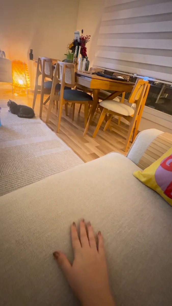That universal cat-owner gesture that achieves absolutely nothing