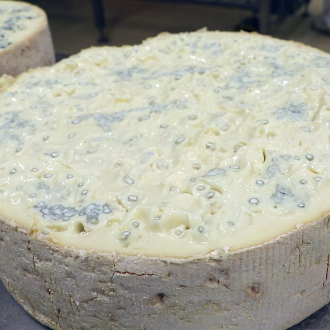 internet hall of fame The Gorgonzola cheese is worth over $800 million