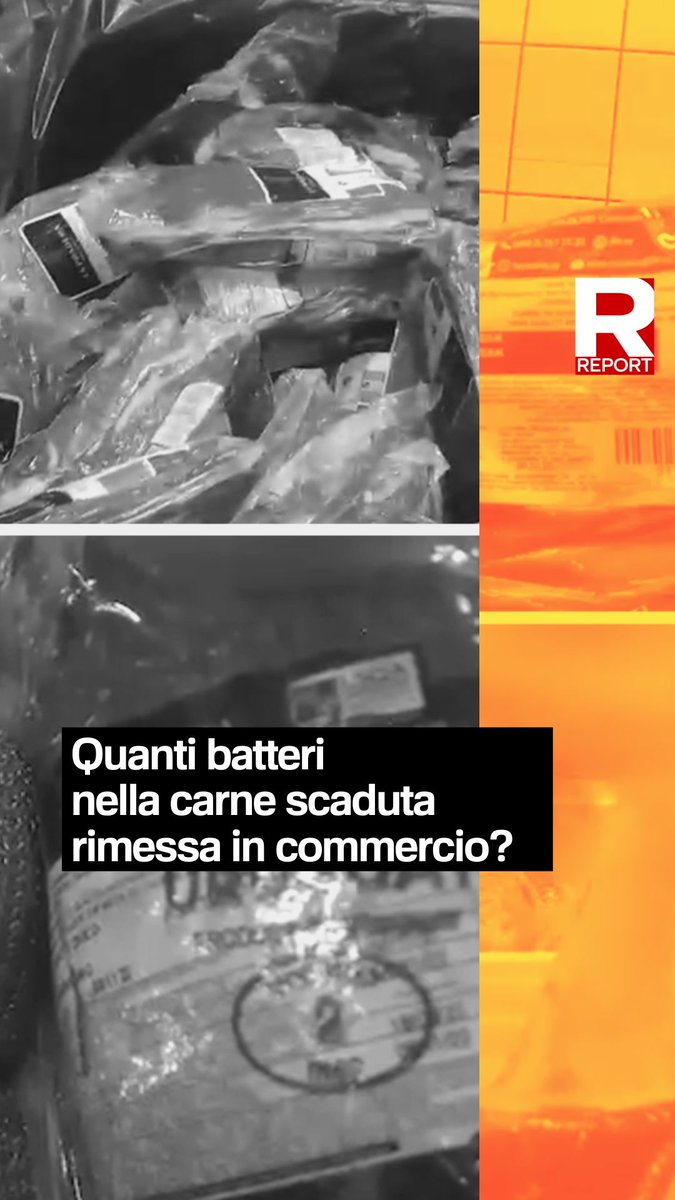 Carne scaduta messa a scongelare senza il sacchetto protettivo nell'acqua calda, così da aumentare la proliferazione batterica. È ciò che è stato filmato in un macello in provincia di Mantova. Ma non è tutto. Segui #Report ora in diretta su #Rai3👇
