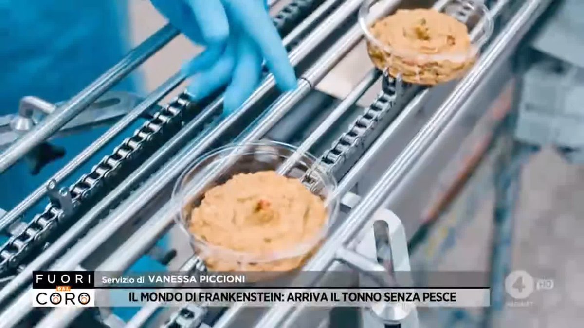 Il tonno contenente.... lo 0% di pesce! È fatto di alghe e la produzione è finanziata dall'Unione europea per creare il cibo del futuro. Il servizio completo di Vanessa Piccioni a #Fuoridalcoro è su Mediaset Infinity