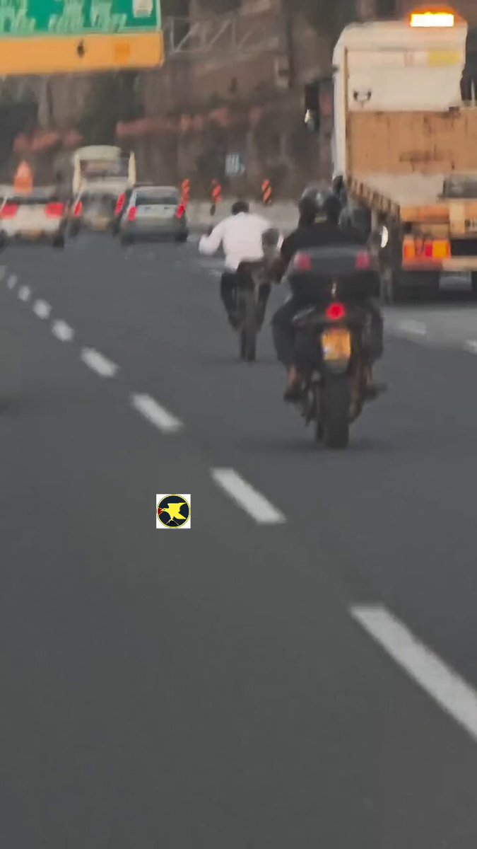 החיים בבבוניסטאן 🐒