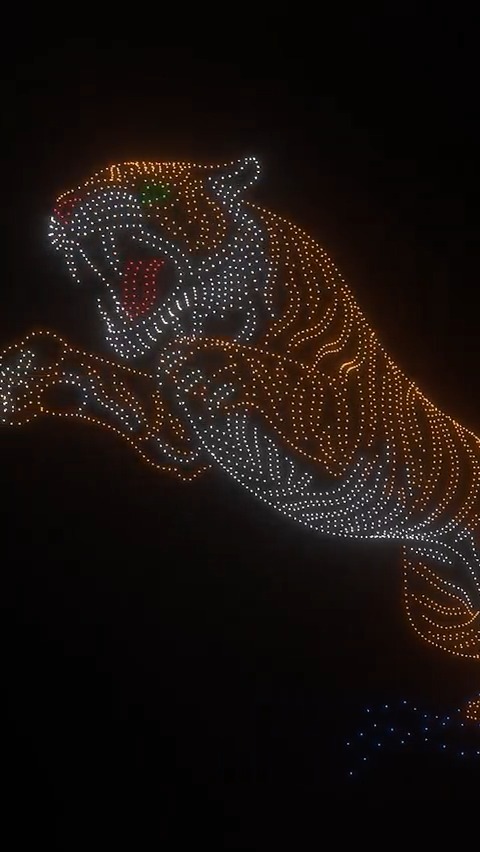 This incredible image of a tiger was formed by 2,983 drones across the night sky in Mysuru, Karnataka, India 🐅
