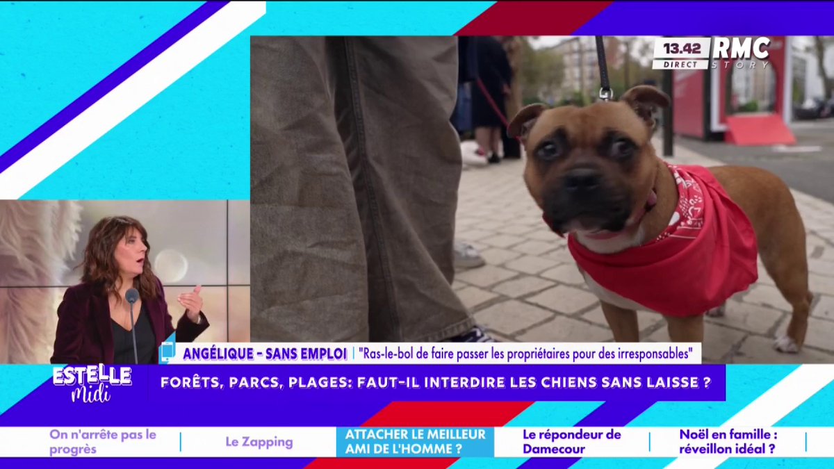 🦮 Faut-il interdire les chiens sans laisse ? 📞 Angélique : "Mon chien fait 30kg... Même quand mon chien court après quelqu'un, il est gentil ! J'ai le sentiment que parce qu'on est propriétaire d'un chien en liberté, on est irresponsable..." #EstelleMidi