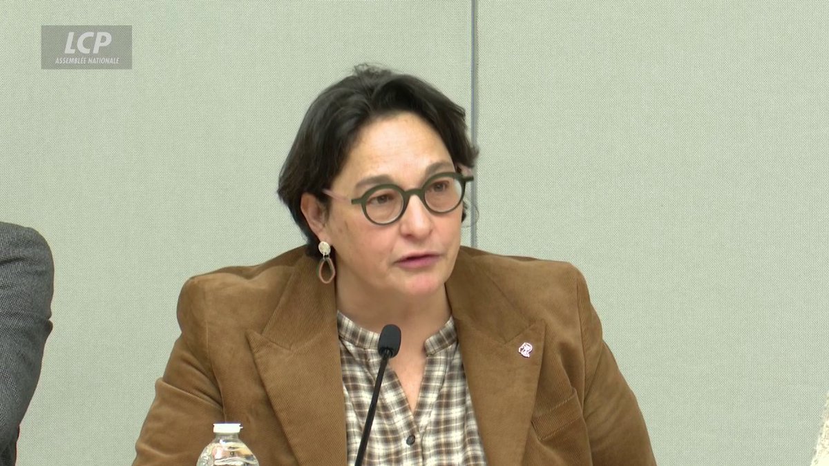 Violences sexistes et sexuelles : "Quand on parle de l'enfant d'aujourd'hui, on parle de l'adulte de demain", déclare la députée Florence Hérouin Léautey (Socialistes). "L'intérêt supérieur de l'enfant doit en tout temps primer." #DirectAN #VSS