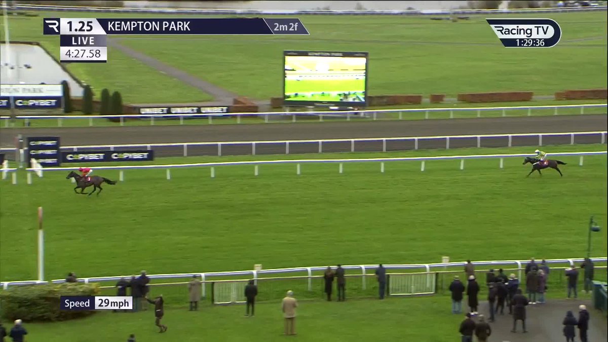 Jax Junior upstages Jeriko Du Reponet Kempton Park Racecourse 👇🏻