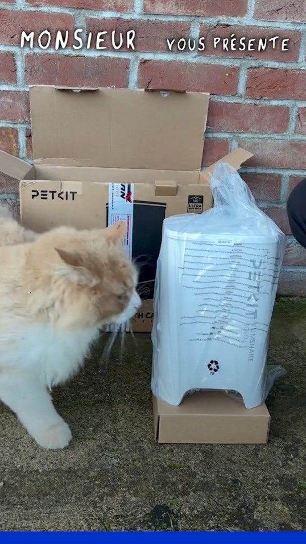 🇫🇷🐈 "Monsieur", un chat a été assassiné avec 86 plombs dans le thorax et la tête en Picardie. Il a été retrouvé mort par sa propriétaire sur le bord d’une route après 2 jours de disparition. Elle a déposé plainte,