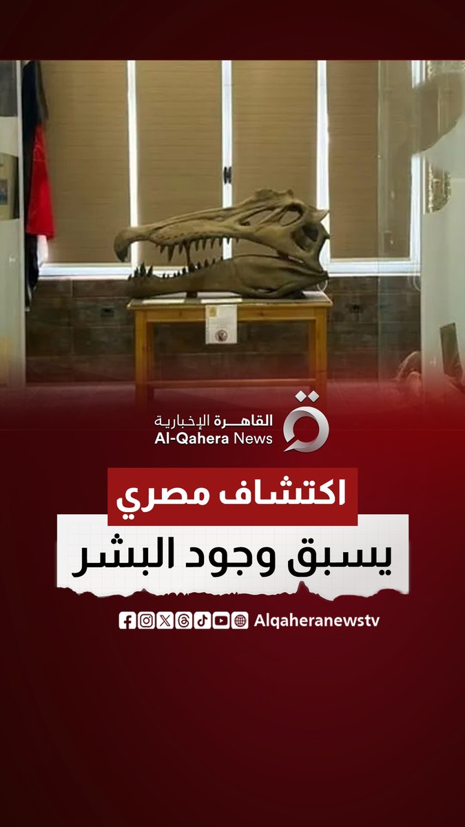#مصر.. اكتشاف تمساح نادر عاش قبل 80 مليون عام بالصحراء الغربية #القاهرة_الإخبارية