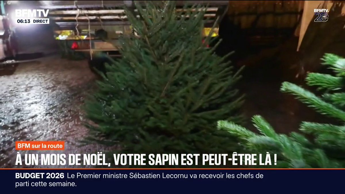 Après 13 ans à Beauval, les deux pandas géants regagnent la Chine. La France a payé 800.000€ par an pendant ces années dans ce qu'on appelle la "diplomatie du panda".
