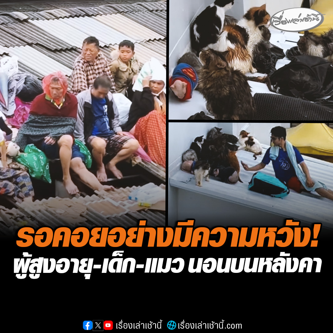 รออย่างมีความหวัง! หนุ่มยอมทุบกำแพงบ้าน อุ้มแมวขึ้นหลังคาหนีน้ำ ขณะที่ ทุ่งเสา 2 หนักมาก ผู้ประสบภัยหลายสิบชีวิต ทั้งคนแก่-เด็ก ขึ้นหลังคาหนีน้ำท่วม ด้านโรงพยาบาลหาดใหญ่ ไร้น้ำ-ไฟฟ้าใช้ #เรื่องเล่าเช้านี้ #ข่าวช่อง3 #ข่าวภูมิภาค #สงขลา #น้ำท่วมหาดใหญ่