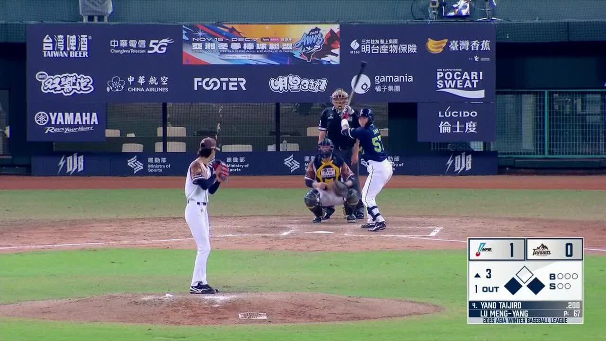 爆肩だけじゃない 今日は4番に座るルーキー捕手 矢野泰二郎がタイムリーヒット 🇹🇼アジア・ウインターリーグ・ベースボール 🆚NPB×台湾マウンテン 📺#DAZN LIVE配信中 #冬が僕を強くする #AWB #swallows #だったらDAZN