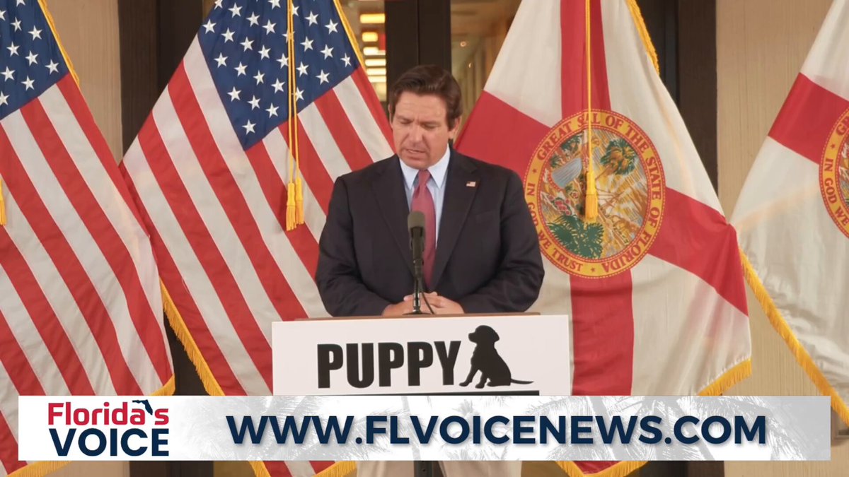 🔥 BREAKING: Florida Gov. Ron DeSantis is proposing statewide laws to protect dogs from abuse, targeting breeders who confine animals in small cages, deny food or water, overbreed, or expose them to extreme conditions.