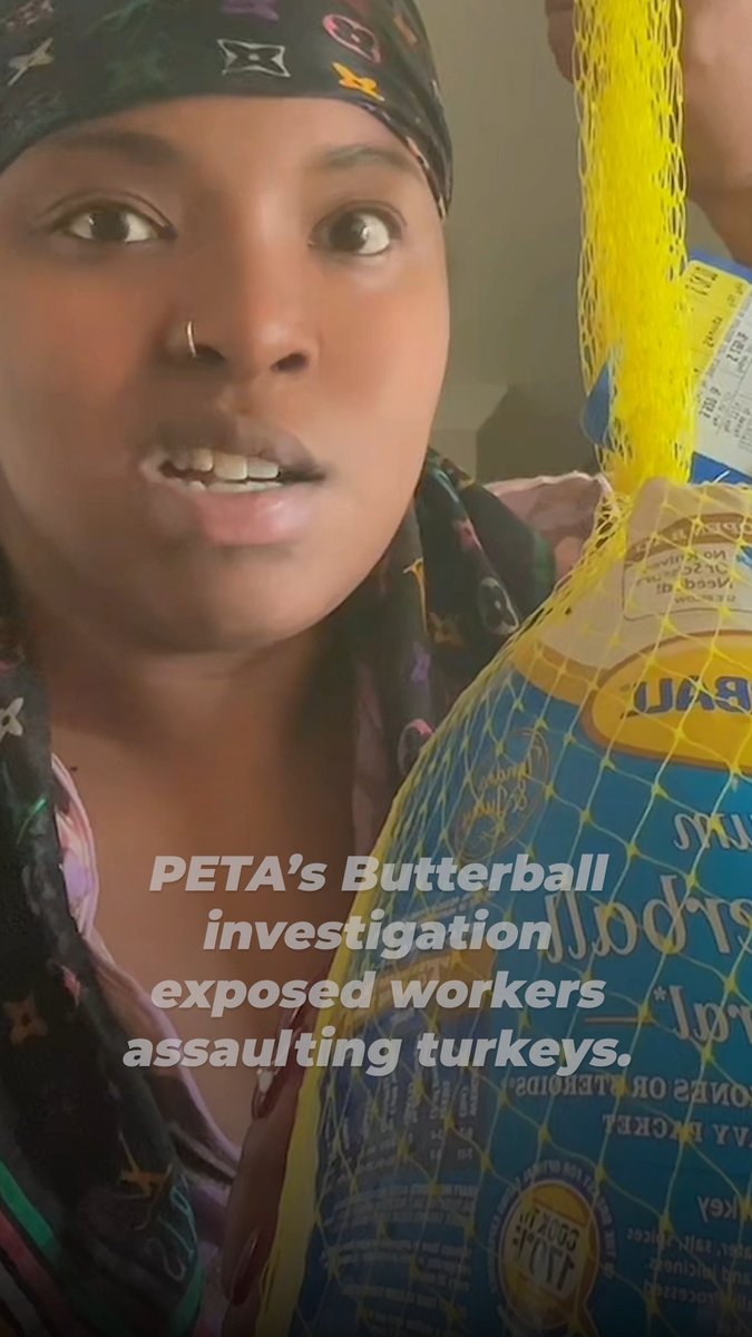 PETA exposed Butterball workers sexually assaulting turkeys before slaughter, and the viral footage horrified millions. Now the brand is trying to bury the truth under a “humane” lie. Don’t buy it ❌🦃