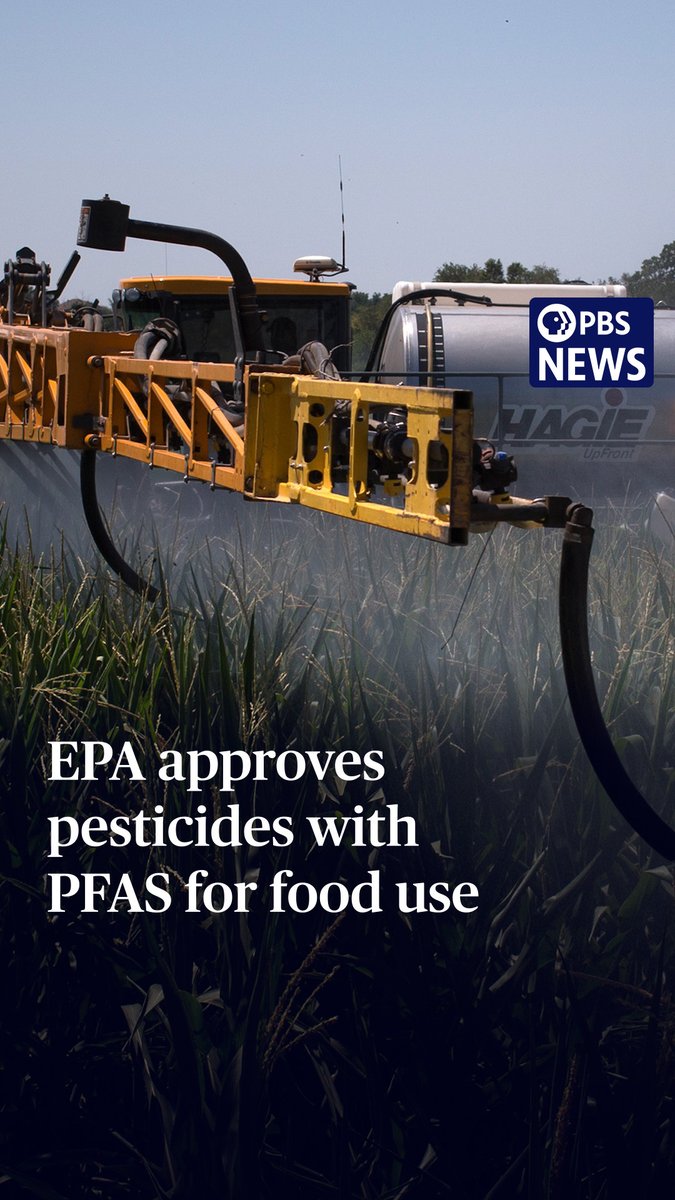 The EPA is starting to allow the use of pesticides containing PFAS on food. The move is part of an effort to roll back the regulation of PFAS — also known as "forever chemicals" because they don't break down easily in the environment. The agency last week approved the use of two new pesticides that qualify as PFAS. Farmers could spread them on crops such as romaine lettuce, broccoli and potatoes. While not a lot is known about their long-term impact, the chemicals have been linked to certain cancers, birth defects and other health problems.
