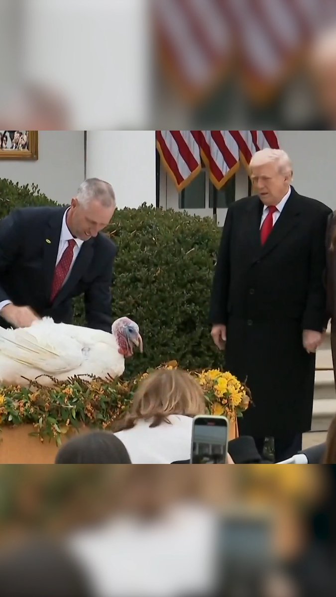 US President Donald Trump pardons turkeys Gobble and Waddle at the White House ahead of the Thanksgiving holiday