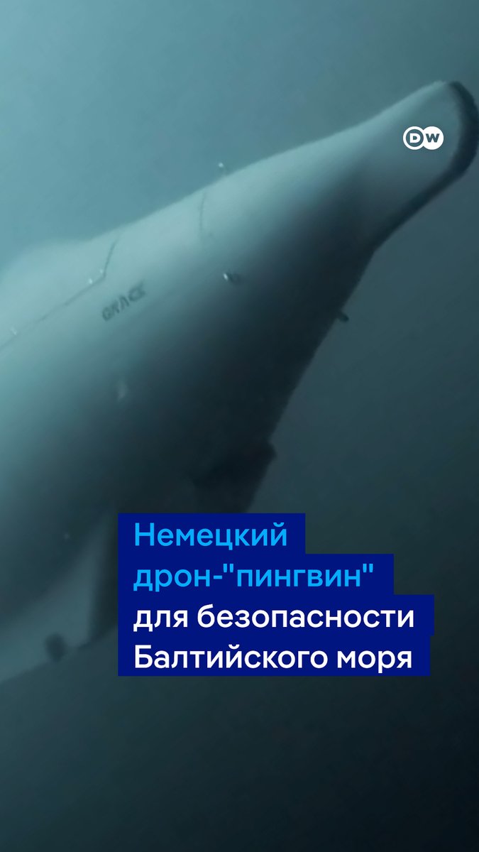 Этот немецкий дрон в форме пингвина будет следить за безопасностью в Балтийском море. Аппарат может находиться под водой несколько месяцев. Вот что про него рассказывают разработчики