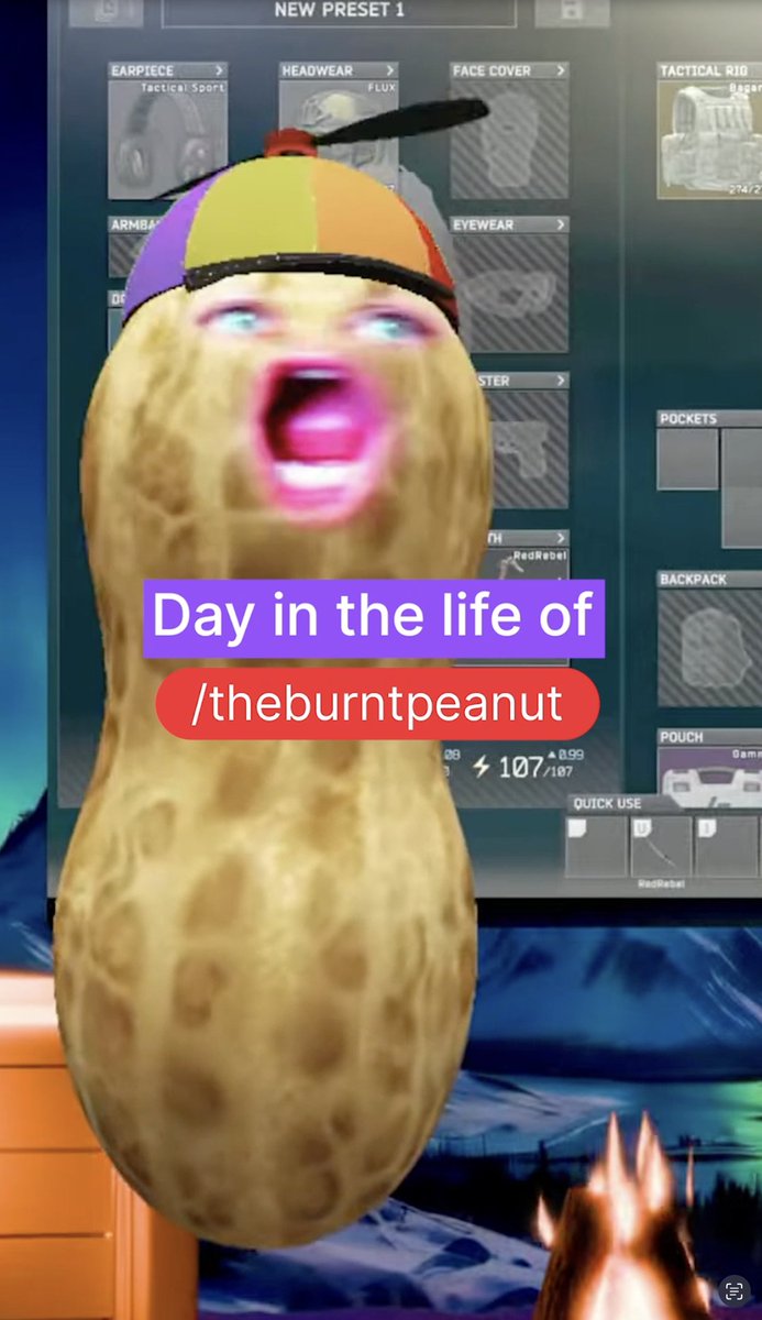 BUNGULATORS ASSEMBLE 🥜 theburntpeanut