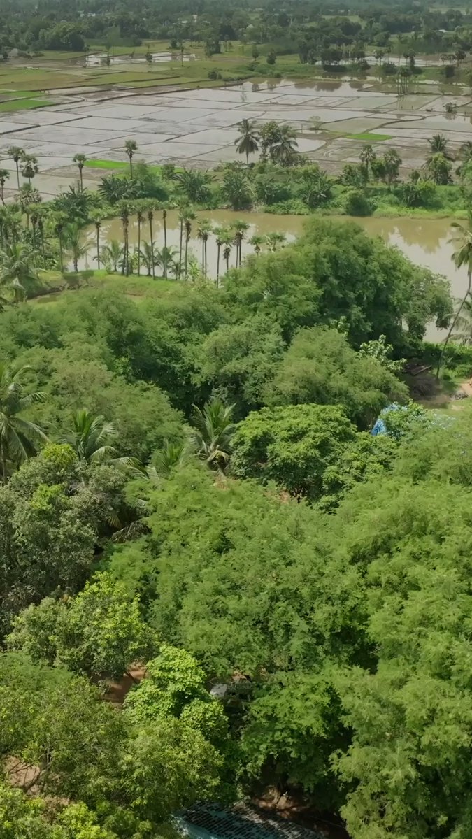 Nikolaj Coster-Waldau visited a major king cobra conservation site in India and spoke with community leaders dedicated to protecting this iconic species. Watch An Optimist’s Guide to the Planet
