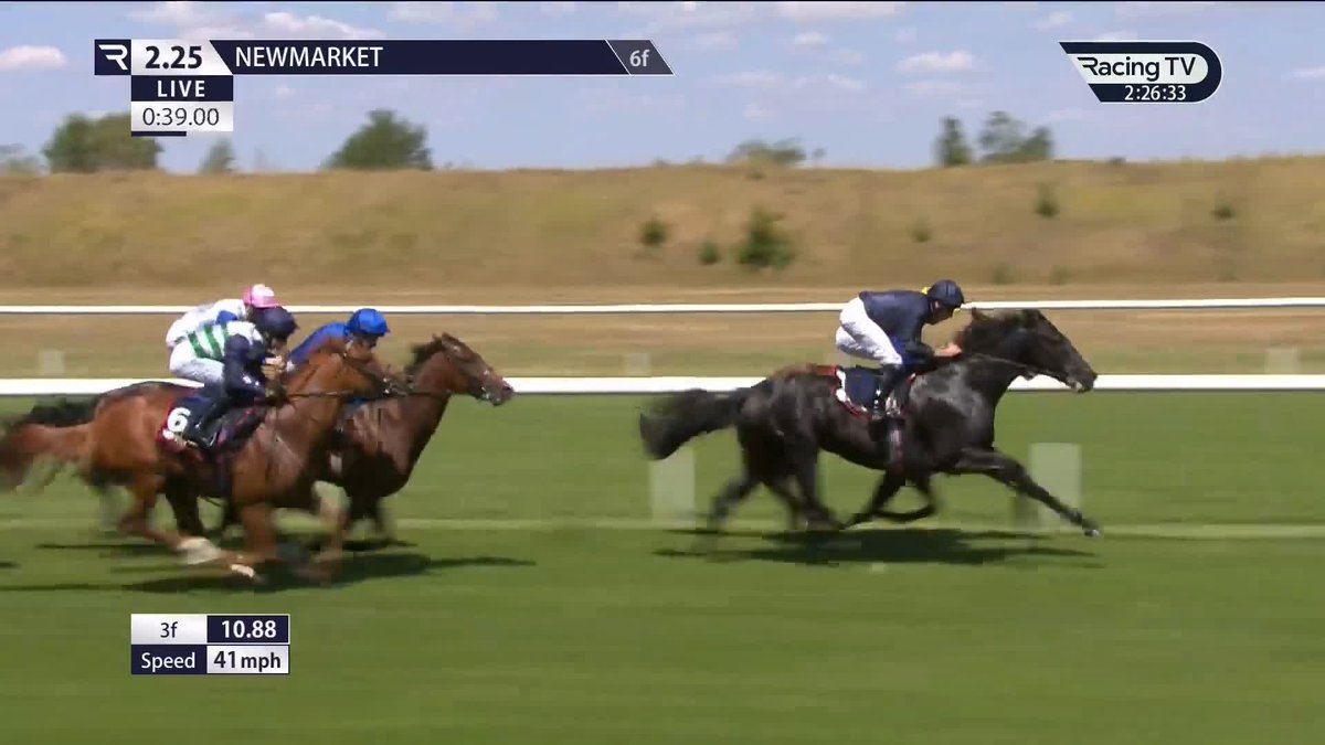 Arguably the UK's best maiden, Do Or Do Not, will target the UAE 2000 Guineas for Jamie Osborne before heading to Australia to join Noblet Racing. Second in the G2 Coventry Stakes &amp; G2 July Stakes (🎥), third in two further G2 races.
