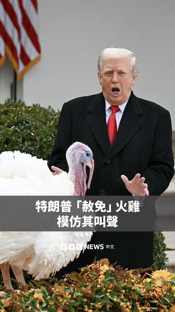 美国总统特朗普周二在白宫玫瑰园举行的仪式上,赦免了今年的感恩节火鸡“Waddle”和“Gobble”。 这项年度活动是白宫的传统,美国总统会在感恩节前几天赦免火鸡,使它们免于被端上餐桌。