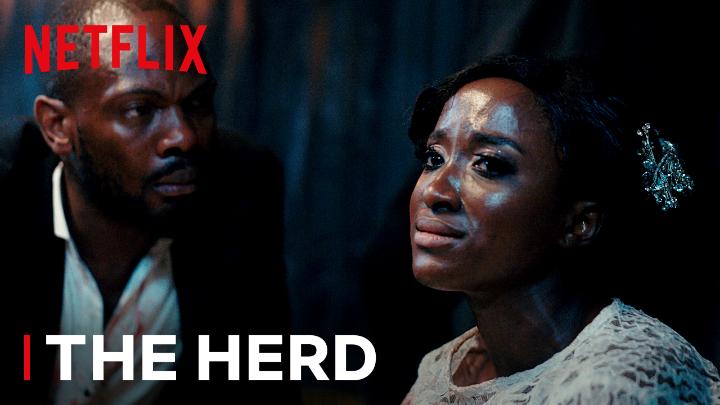 "I can't believe this is how I spend my wedding night... a widow." 🥺 💔 🎥: The Herd