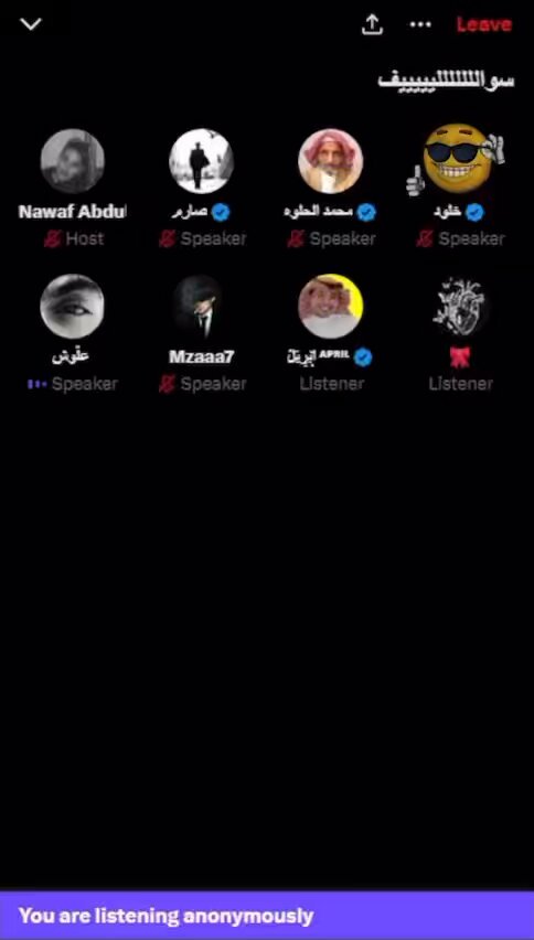 المدعو صارم .. صارم والإساءة لمجلس الشورى السعودي وأعضائه الموقرين المعينين بأمر ملكي . وزارة الإعلام الهيئة العامة لتنظيم الإعلام معًا