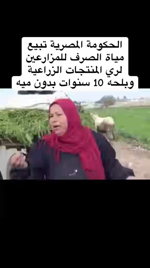 كلام المزارعه المصريه خطير هذا يعني الحكومة المصرية متعمدة ترسل للكويت وللخليج أغذية ومزروعات فاسدة وغير صالحة للاستهلاك الآدمي ويجب محاسبتها ووقف فوري للاستيراد منها!!!! #فساد_الزراعة_المصرية