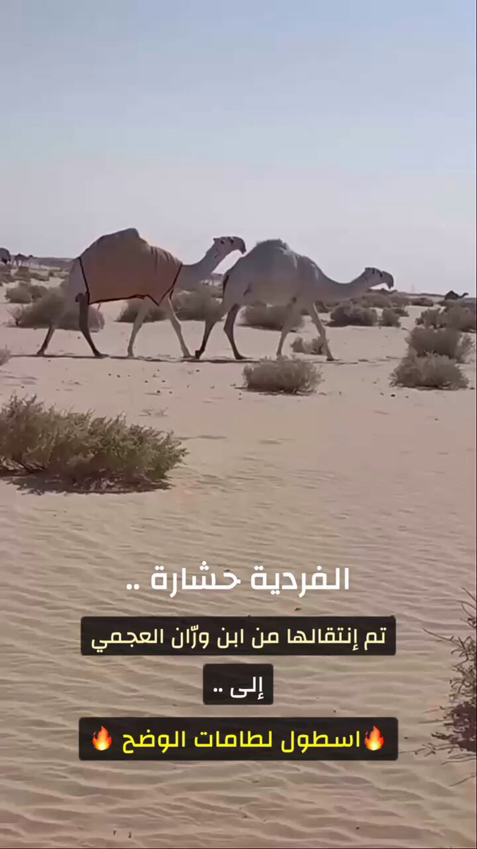 حشارة بن وران تنضم الى لطامات بن غضيان يا قصرانا ما جاكم من الحوار الا راسه 😜