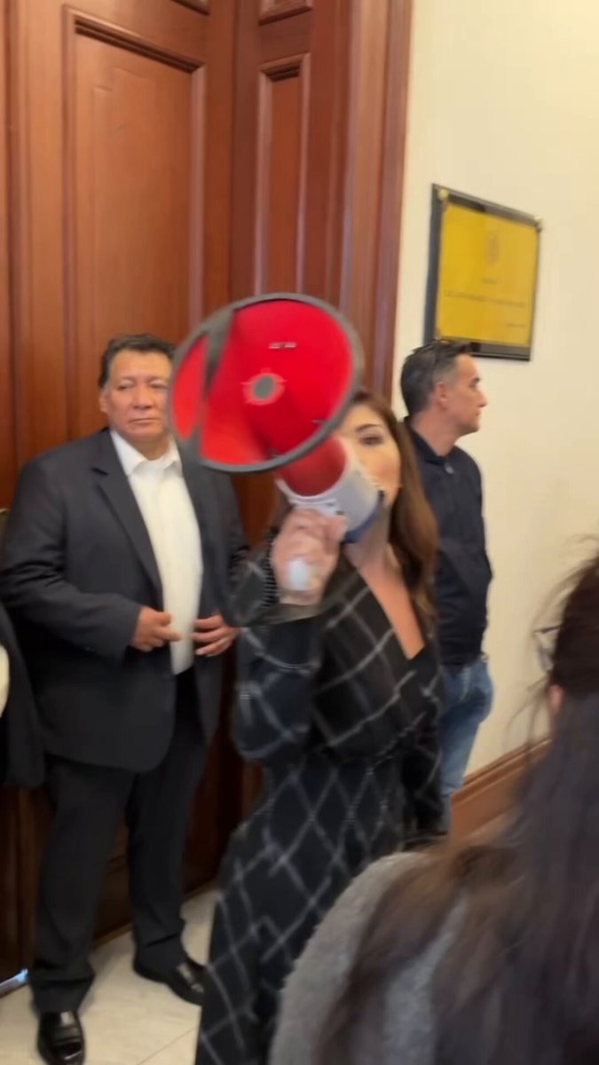 A Mauricio Tabe Echartea no le permitieron comparecer en el Congreso y a los diputados de Acción Nacional no nos dieron la palabra. No nos cansaremos de gritar que ¡MORENA ES UNA DICTADURA!