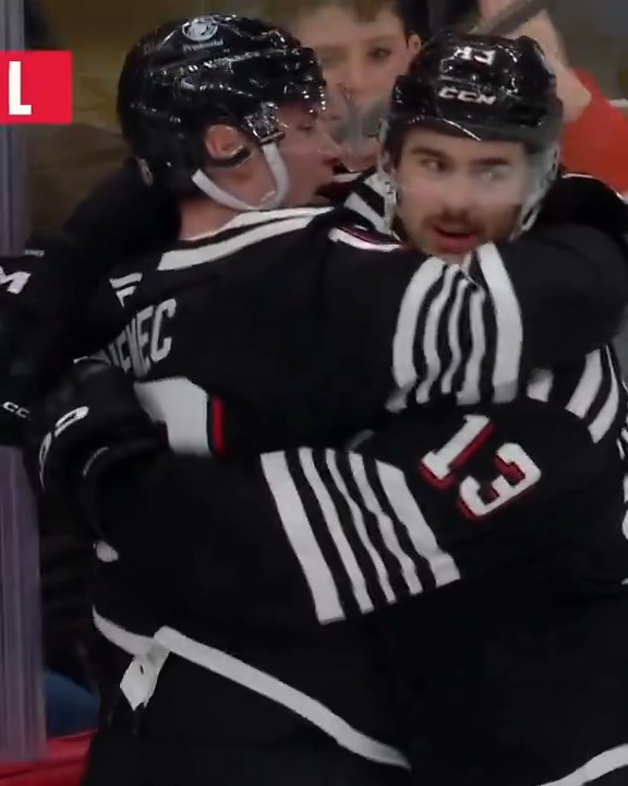 NEMO-T MAGIC™️