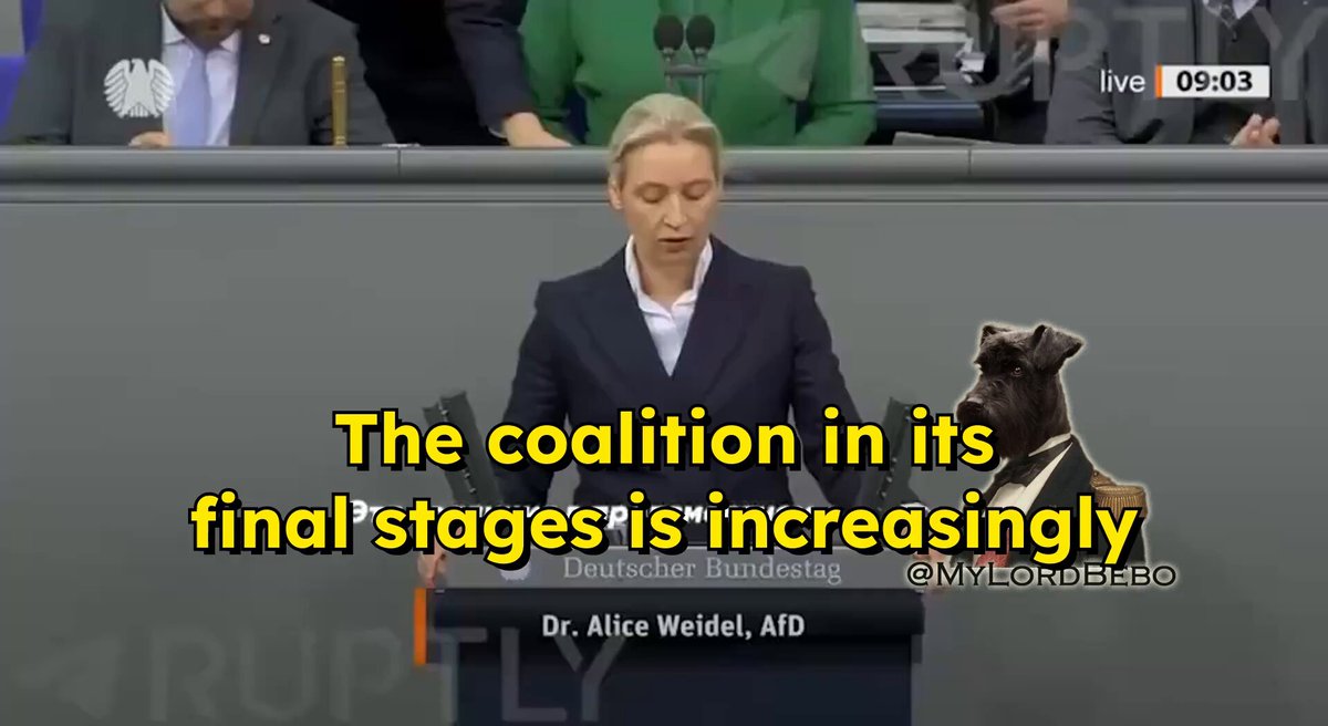 🇩🇪 "Germany is sinking like the Titanic" — AfD's Alice Weidel "They are throwing money out the window with both hands"