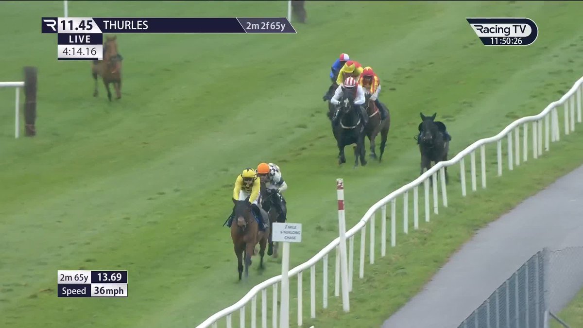 UNBELIEVABLE!! 😳😳😳 SALVATOR MUNDI BEAT AT 1/7F BY HIS STABLE-MATE FOR WILLIE MULLINS!! A BIG BUBBLE BURST, OR SIMPLY NOT FIT ENOUGH TO WIN TODAY?
