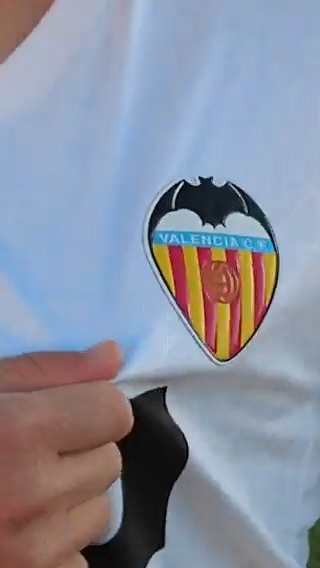Blindaje de manual 🔒