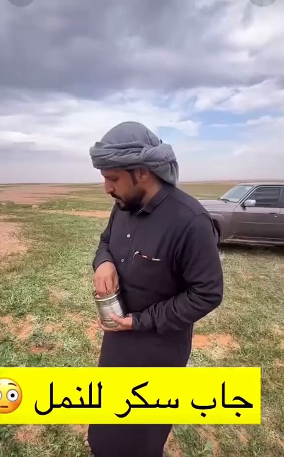 شاب يوثق طريقته الغير متوقعه في ابعاد النمل عن مكانه اثناء الكشتة والمبيت في الصحراء 😅