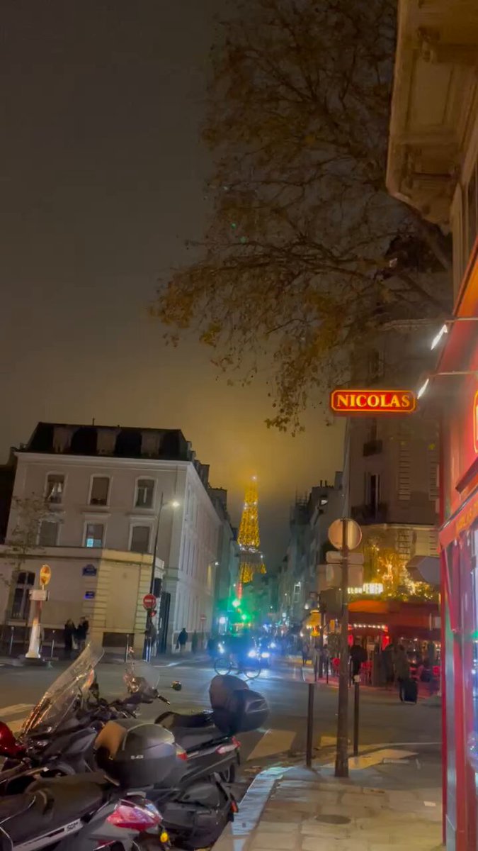 La Rue Saint Dominique la Tour Eiffel qui scintille (j’oublie chaque fois que c’est moi qui ai fait voter au Conseil de Paris en 2001 le scintillement permanent de l’an 2000) qui scintille dans la Brume de l’Automne finissant ! Paris !