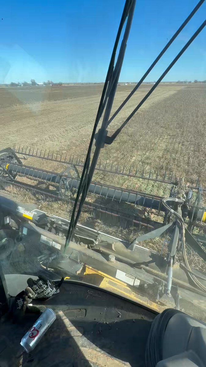 Happy thanksgiving from the combine cab. I’m trying to get our red ripper cow peas out so we can plant barley. We still have 200 acres of sunflowers left and after that maybe our year is over unless the phone rings, if it does we will saddle up and ride one more time. #Thanksgiving2025 #Agtwitter #farming #harvest2025 #Oklahoma
