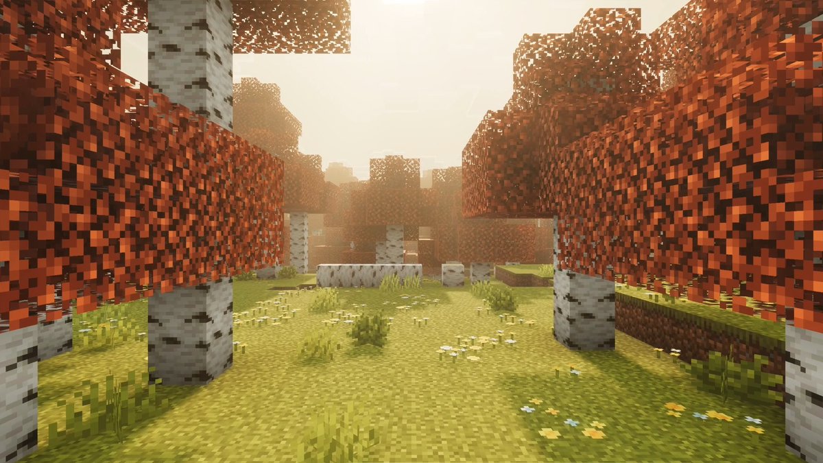 Everything looks better with Realism Visuals
